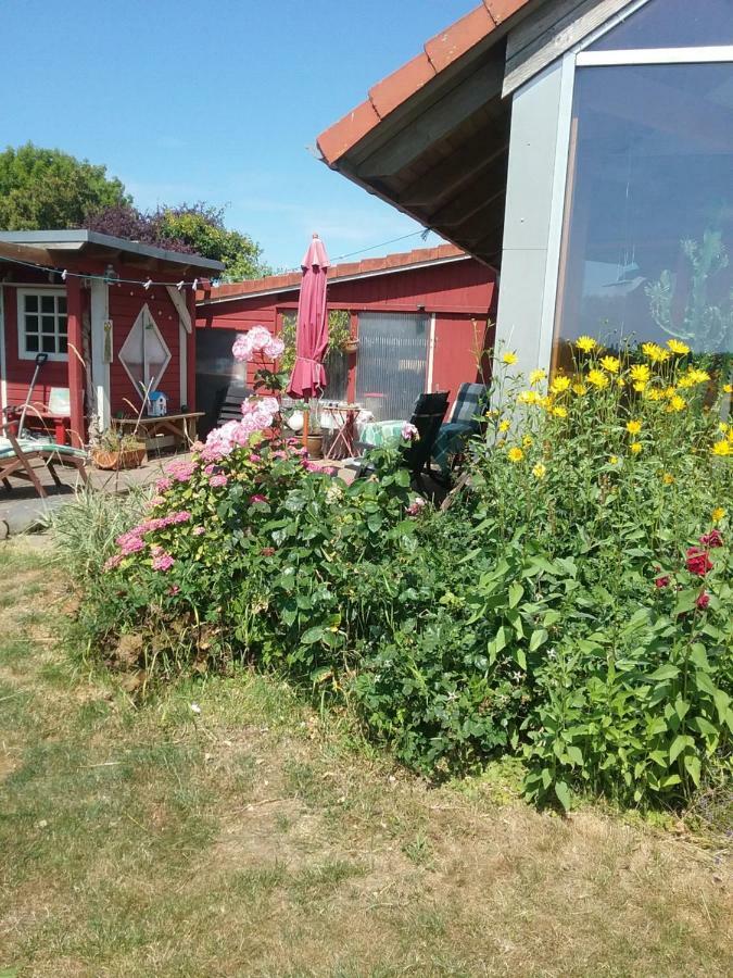 Ostseeurlaub-Asmussen Gelting Eksteriør billede